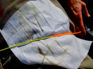 If you only do one thing today, CLEAN YOUR FLY LINE! - Headhunters Fly Shop