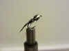 Hayabusa_752__18___blackcrow_and_white_paerl_Thorax_uv_blend.jpg (204138 bytes)