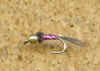Red_holo_goldhaed.jpg (77245 bytes)